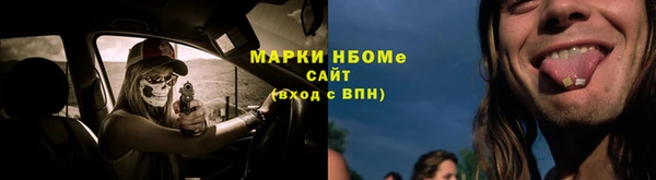индика Новокубанск