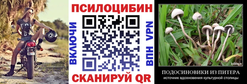 где продают   mega зеркало  Псилоцибиновые грибы MAGIC MUSHROOMS  Нестеров 